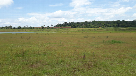 #1: Visão geral, com menos água do que o de costume - general view, with less water than usual