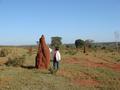 #10: The CP region is populated with huge termite blocks