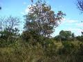 #4: South view