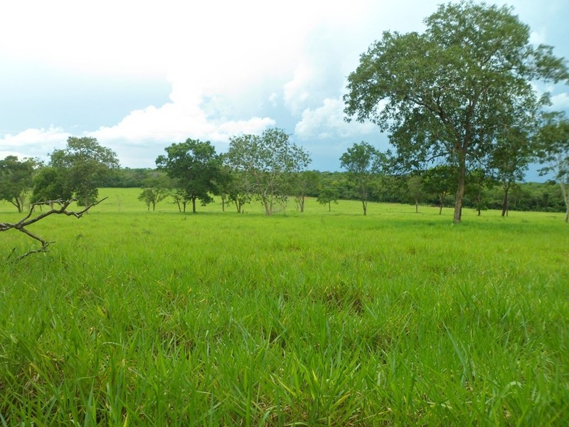 Visão geral - general view