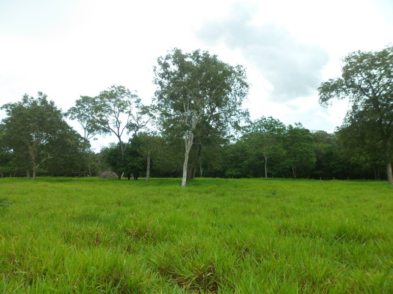 Visão oeste - west view