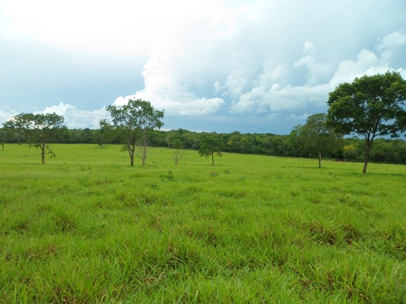 Visão leste - east view