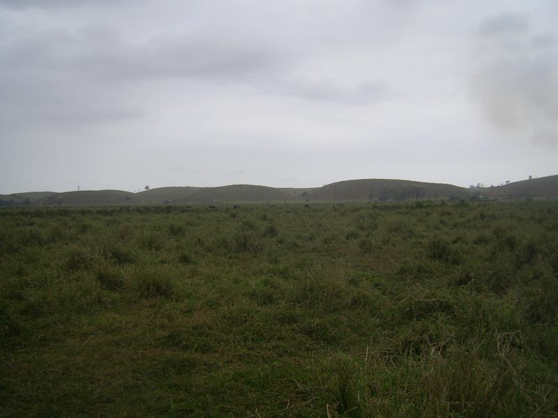 Visão geral - general view