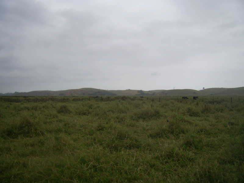 Visão leste e a confluência 59 metros adiante, próxima ao gado - east view and confluence 59 meters ahead, near the cattle