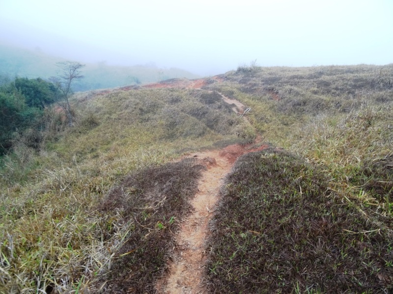 Camino hacia la confluencia. Path to CP