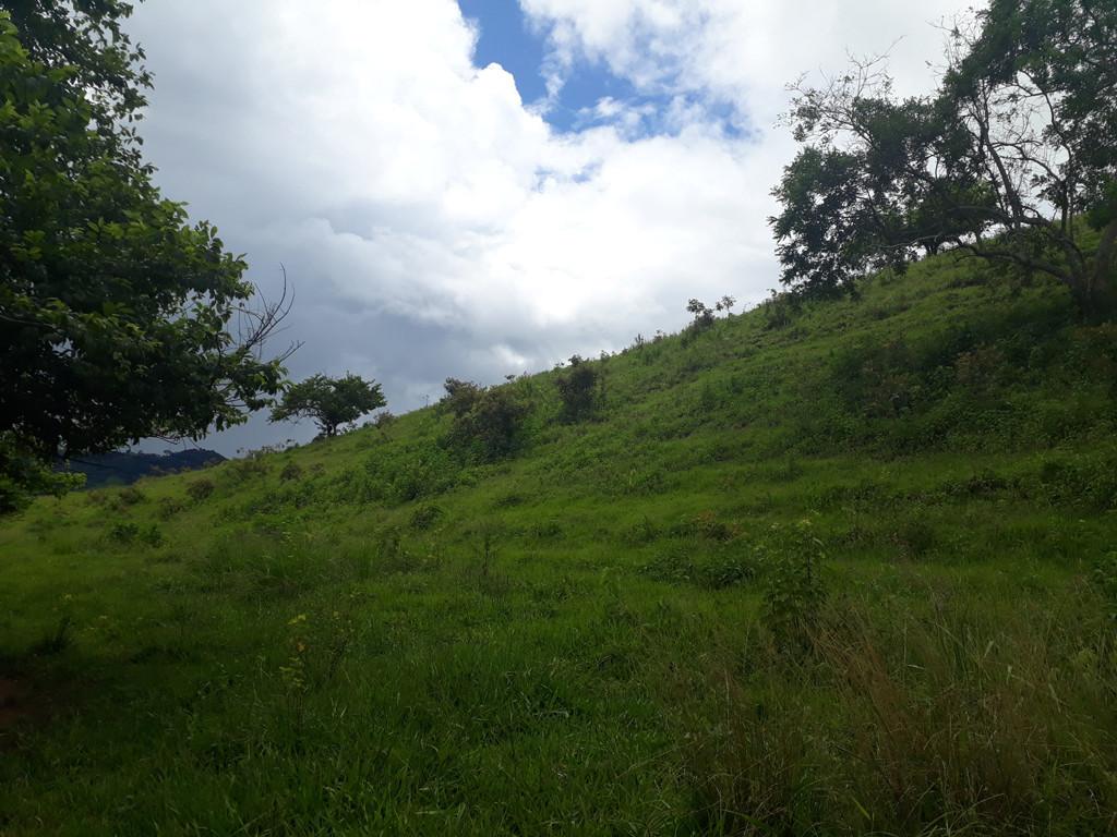 Visão geral - general view