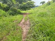 #10: Caminhada até a confluência - hike to the confluence