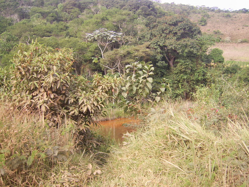 Visão a partir da estrada de terra - view from dirt road