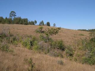 #1: The ravine views to South from confluence