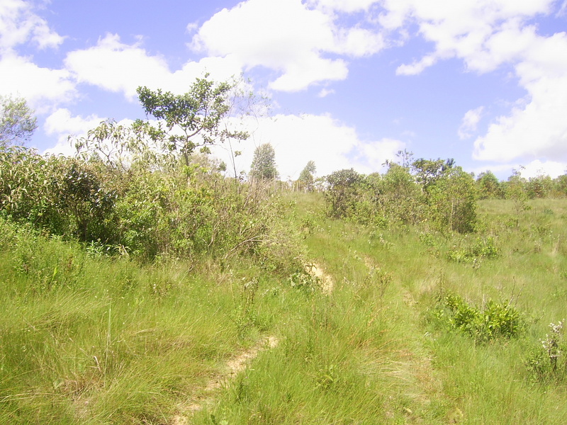 Visão leste - east view