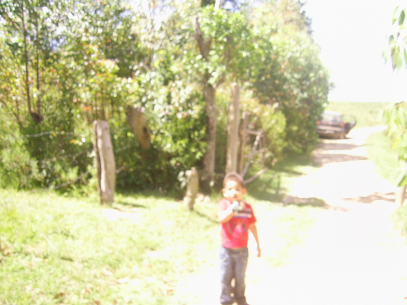 A estrada de terra chega a 126 metros da confluência - dirt road 126 meters close to the confluence