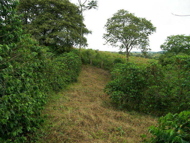 Visão geral da área do ponto de confluência.