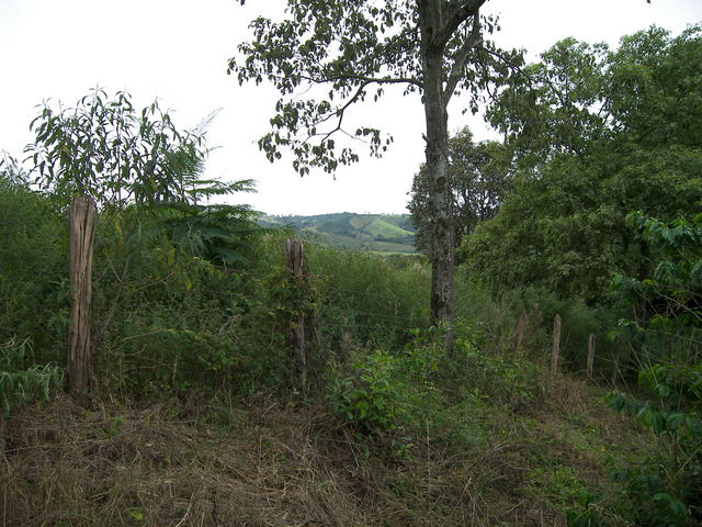 Vista para o Norte.