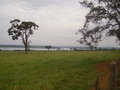 #10: Lago de Furnas a 15 km da confluência - Furnas Lake 15 km close to the confluence