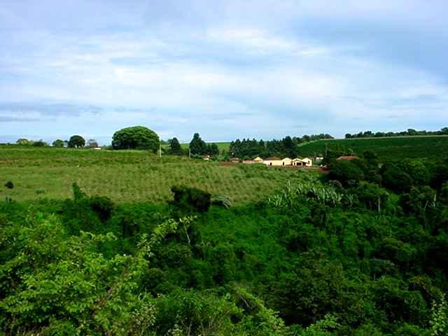 Fazenda Ipomeia