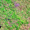 #6: Satellite view