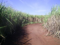 #2: Visão sul - south view