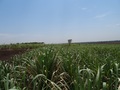 #2: Vista Norte. North view