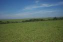 #2: West direction