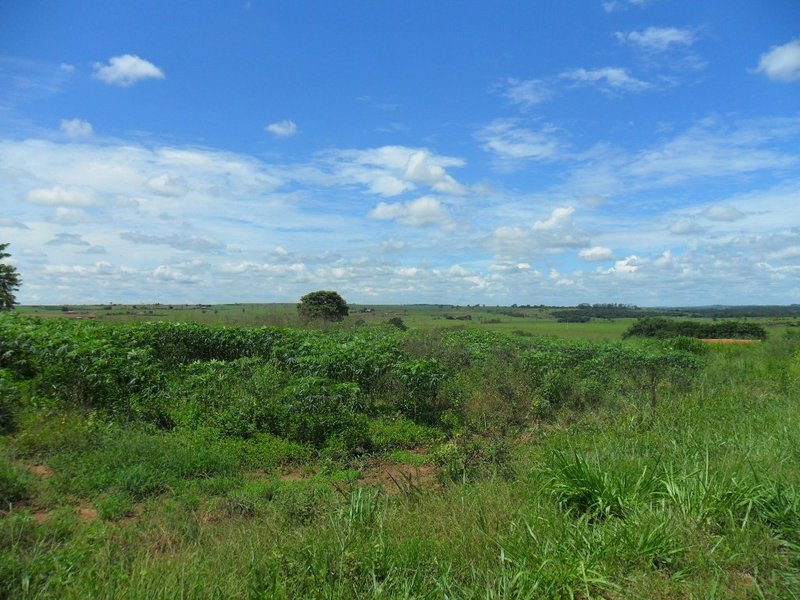 Visão sul - south view