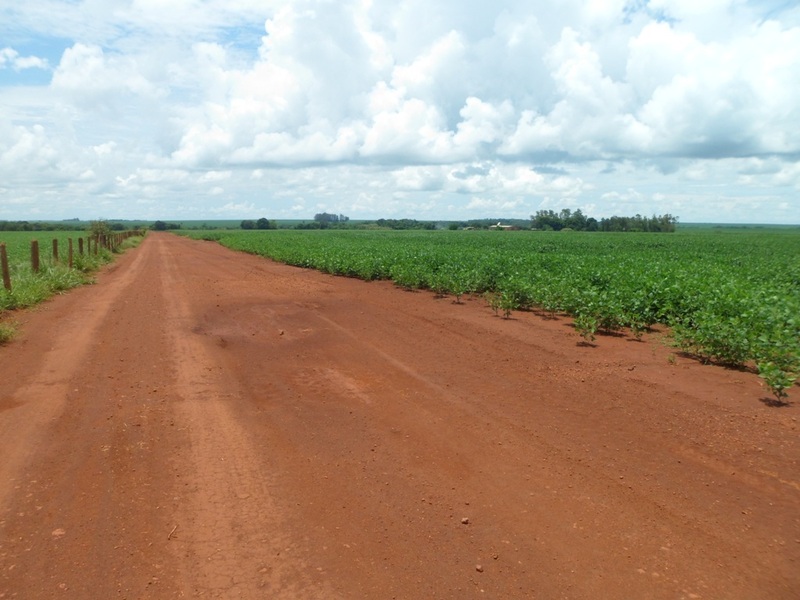 A estrada passa a 482 metros da confluência - the road passes 482 meters to the confluence