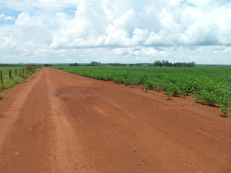 A estrada passa a 482 metros da confluência - the road passes 482 meters to the confluence