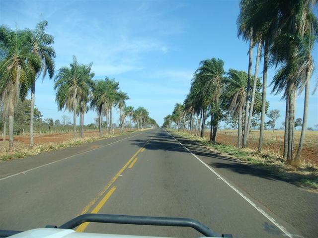 Beautiful road between Campo Grande and Aquidauana