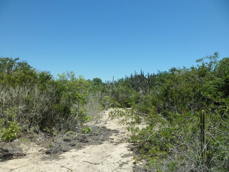 Visão geral - general view