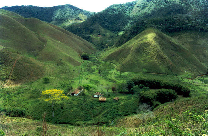 Derrubadinha Farm