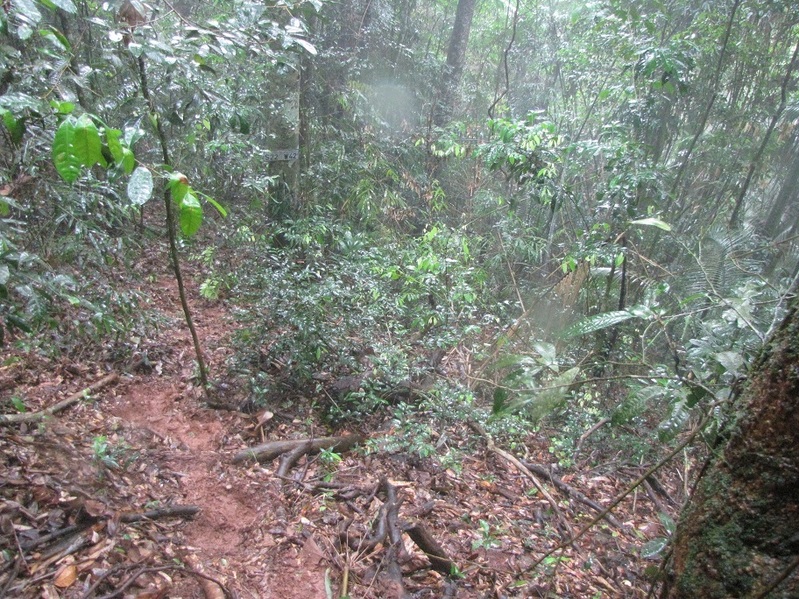 Vista geral da área da Confluência. General view