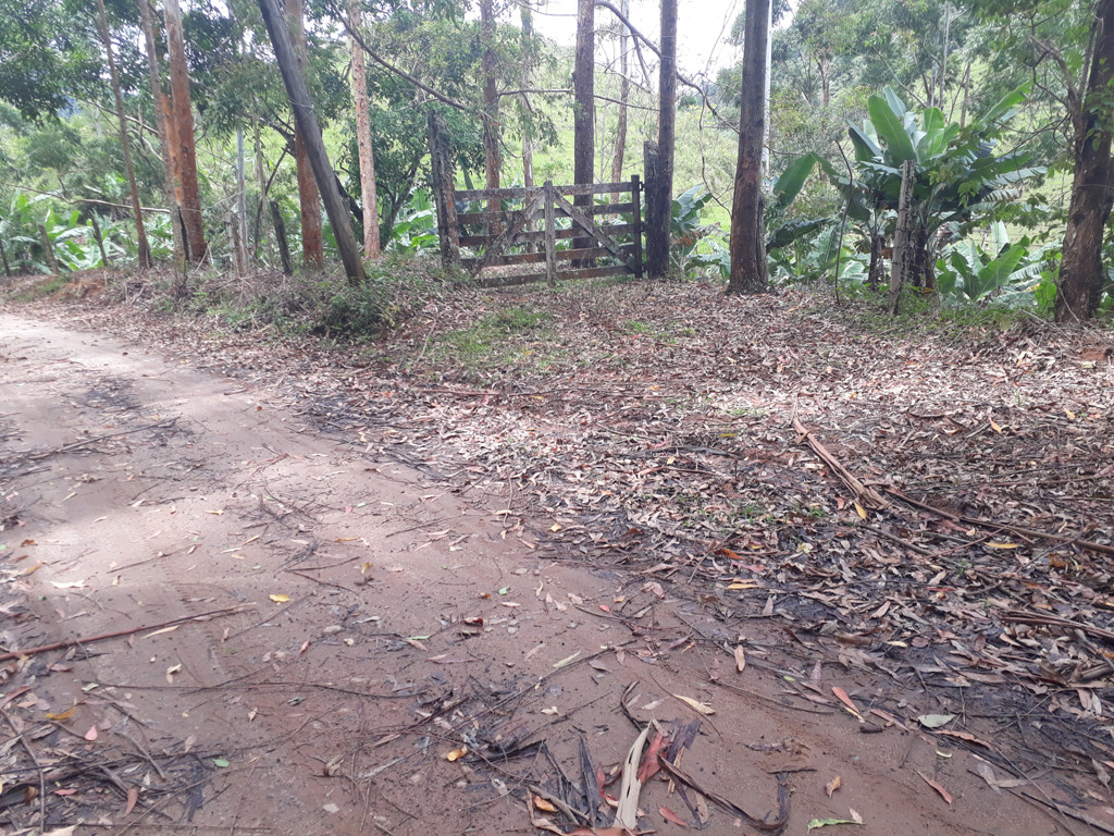 Local de acesso à trilha que segue até a confluência, após passar por uma plantação de banana - place that allow access to the track to the confluence, after passing by a banana plantation