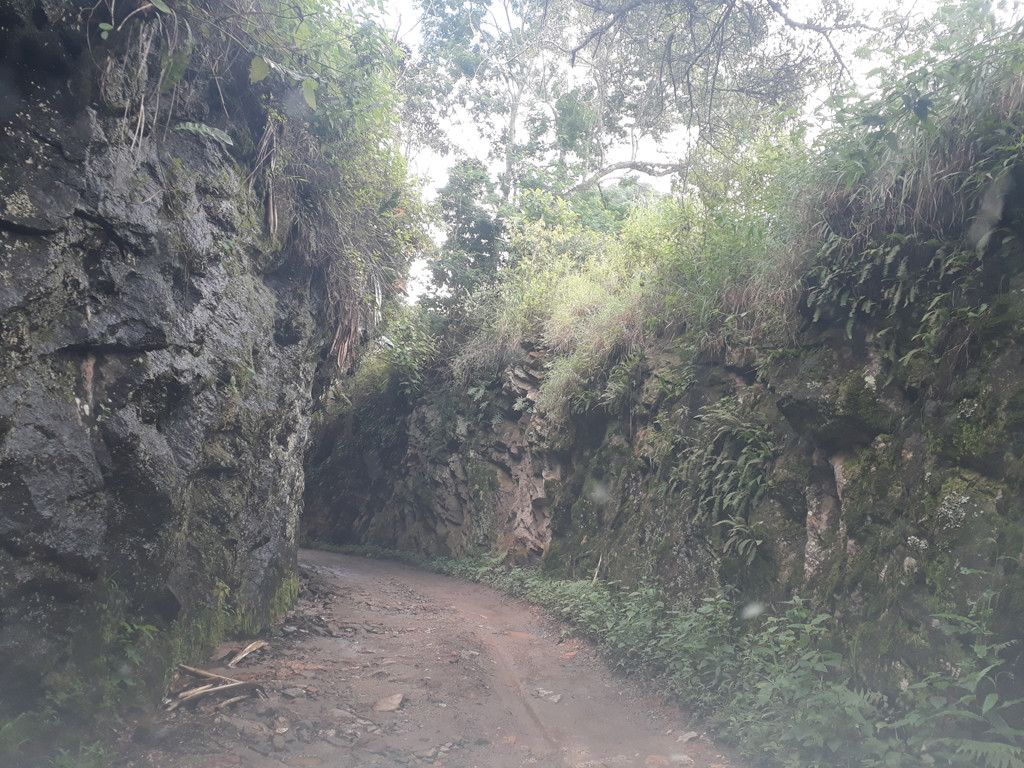 Estrada que dá acesso à confluência - road that goes to the confluence