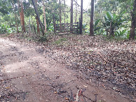 #10: Local de acesso à trilha que segue até a confluência, após passar por uma plantação de banana - place that allow access to the track to the confluence, after passing by a banana plantation