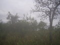 #4: Visão leste - east view