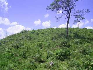 #1: Visão geral - general view