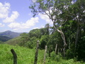 #4: Visão leste - east view