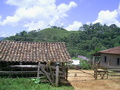 #7: Fazenda localizada a 280 metros da confluência. A confluência está próxima da árvore no alto do morro, ao fundo. - Farm located 280 meters close to the confluence. The confluence lies near the tree in the peak of the mount