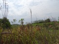 #2: East View
