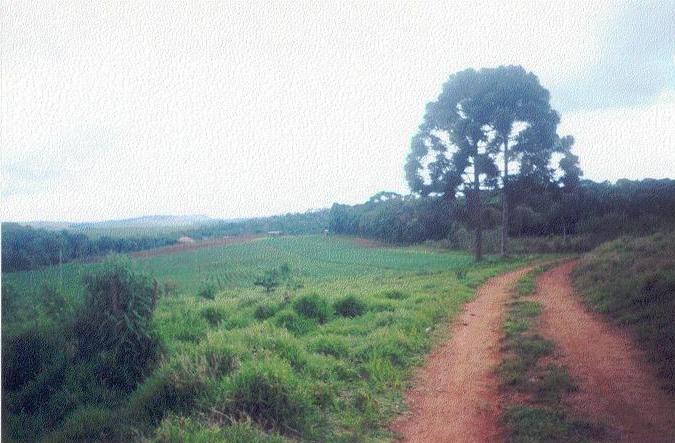 The confluence, seen from 200 m.