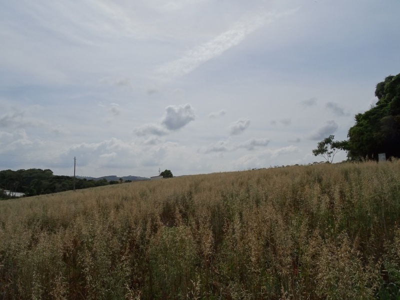 Vista Este. East view