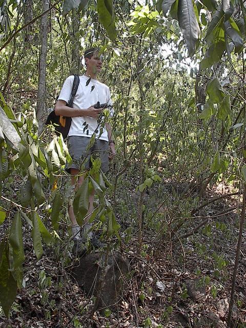 Merzel inside the forest patch.