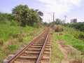#8: Linha de trem - railway