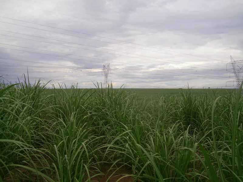 Visão leste - east view