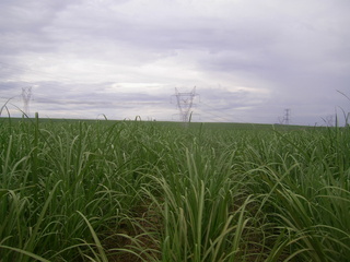 #1: Visão geral - general view