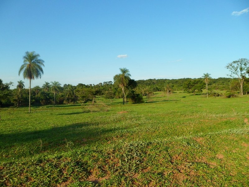 Bela paisagem - Beautiful lansdscape