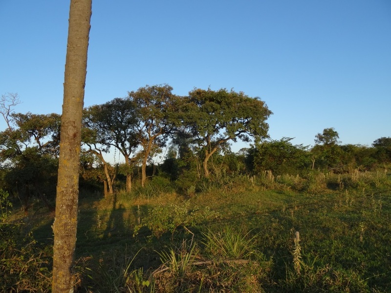 Vista Este. East view