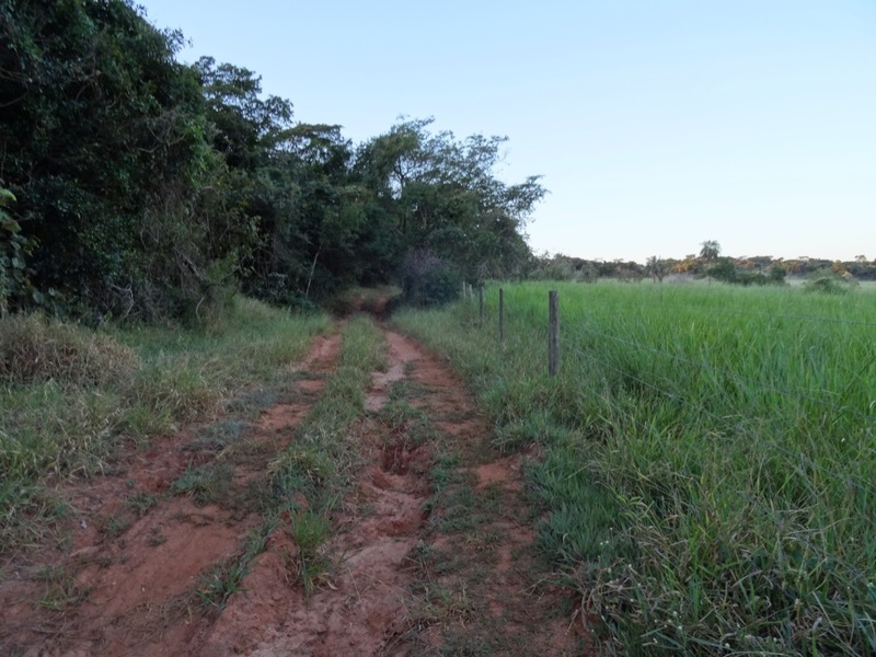 Camino de Entrada. Entrance way