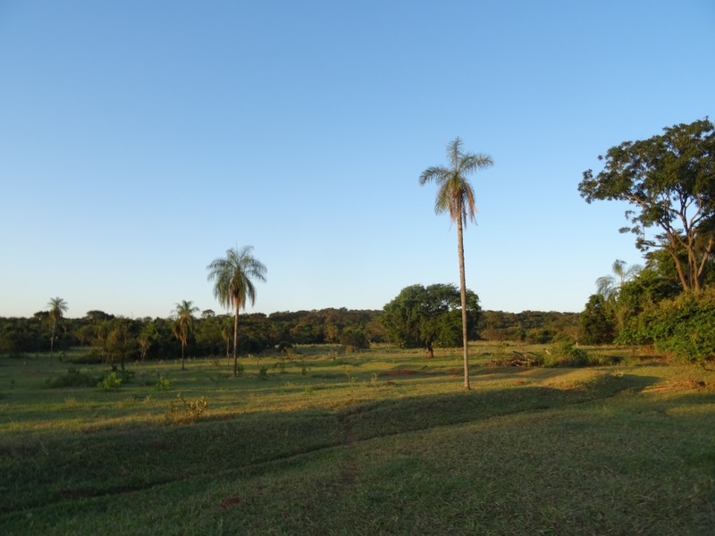 Paisaje. Landscape