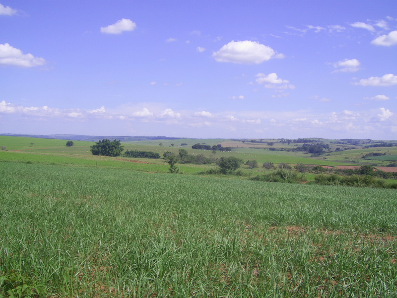 Visão geral - general view