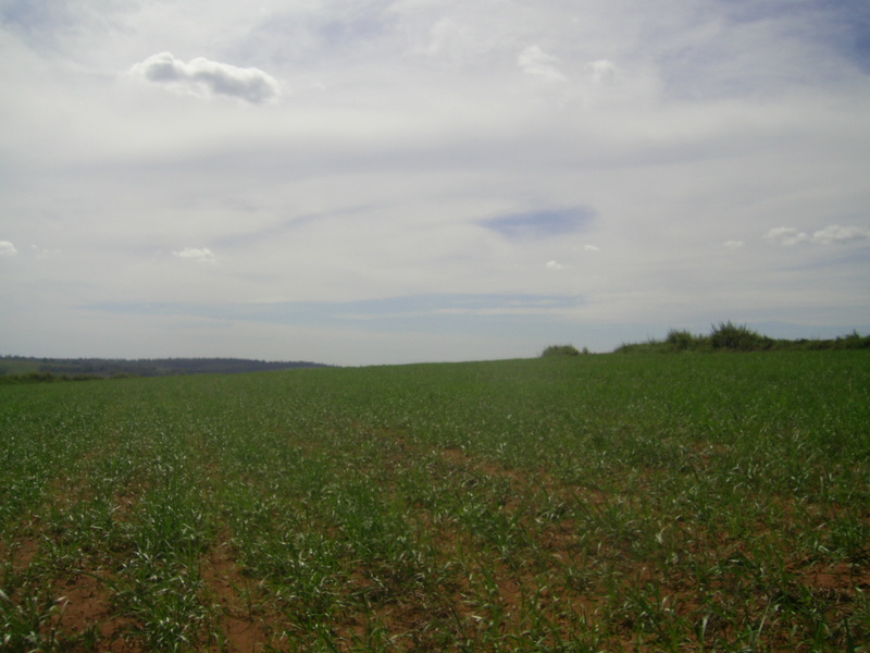 Visão norte - north view